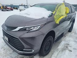 Salvage cars for sale at Elmsdale, NS auction: 2023 Toyota Sienna LE/XLE