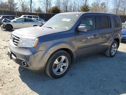 Salvage cars for sale at Waldorf, MD auction: 2014 Honda Pilot EXL