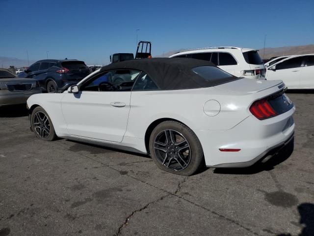 2019 Ford Mustang