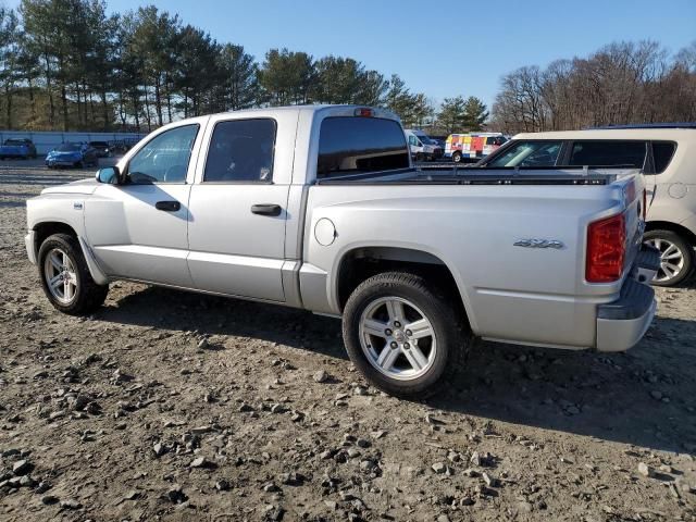 2011 Dodge Dakota SLT