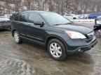 2009 Honda CR-V EXL