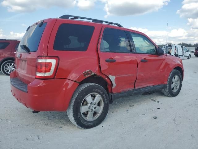 2009 Ford Escape XLT