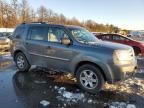 2009 Honda Pilot Touring