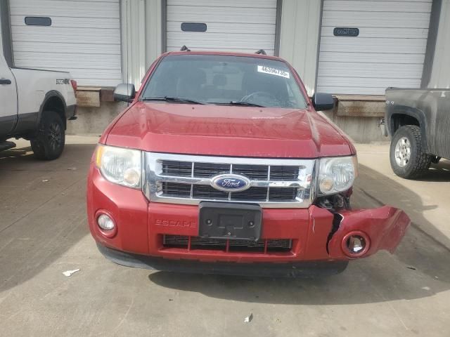 2011 Ford Escape XLT