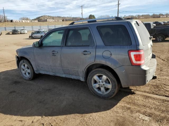 2010 Ford Escape Limited