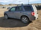 2010 Ford Escape Limited