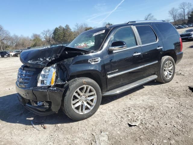 2010 Cadillac Escalade Luxury