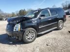 2010 Cadillac Escalade Luxury