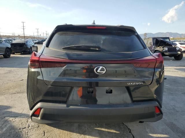 2023 Lexus UX 250H Base