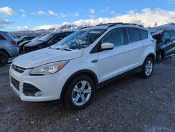 Ford Escape se salvage cars for sale: 2014 Ford Escape SE