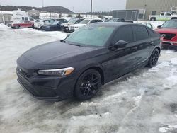 Salvage cars for sale at Elmsdale, NS auction: 2024 Honda Civic Sport