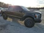 2024 Ford F150 Raptor