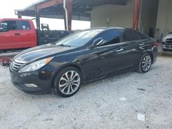 Salvage cars for sale at Homestead, FL auction: 2014 Hyundai Sonata SE