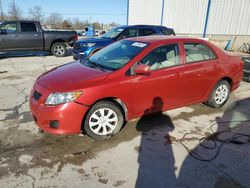 Salvage cars for sale at Lawrenceburg, KY auction: 2009 Toyota Corolla Base