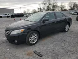 Toyota Vehiculos salvage en venta: 2011 Toyota Camry SE