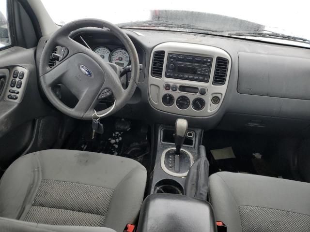 2007 Ford Escape XLT