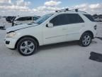 2009 Mercedes-Benz ML 350