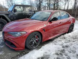 Salvage cars for sale at Marlboro, NY auction: 2019 Alfa Romeo Giulia Quadrifoglio