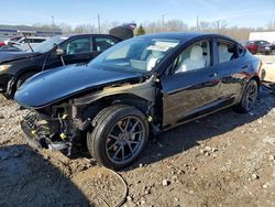 Salvage cars for sale at Louisville, KY auction: 2021 Tesla Model 3