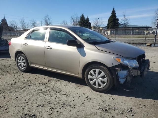 2009 Toyota Corolla Base