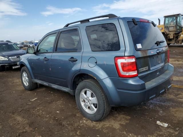 2010 Ford Escape XLT