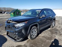 Toyota rav4 le Vehiculos salvage en venta: 2019 Toyota Rav4 LE