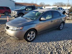 Salvage cars for sale at Columbus, OH auction: 2010 KIA Forte EX