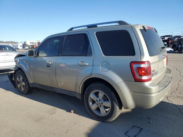 2011 Ford Escape Limited