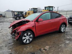 Salvage cars for sale at Hillsborough, NJ auction: 2020 Tesla Model Y