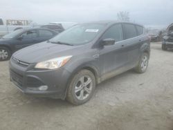 Salvage cars for sale at Kansas City, KS auction: 2013 Ford Escape SE