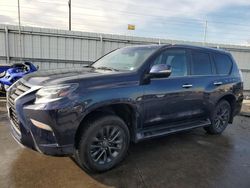 Salvage cars for sale at Littleton, CO auction: 2021 Lexus GX 460 Premium