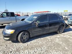 Toyota salvage cars for sale: 2003 Toyota Avalon XL