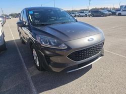 Ford Escape salvage cars for sale: 2020 Ford Escape SE