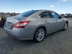 2009 Nissan Maxima S