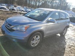 Salvage cars for sale at North Billerica, MA auction: 2010 Honda CR-V EXL