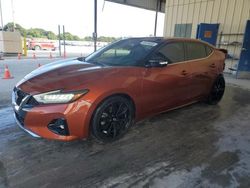 Salvage cars for sale from Copart Homestead, FL: 2020 Nissan Maxima SR