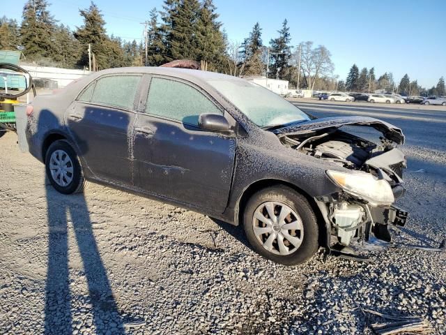 2009 Toyota Corolla Base