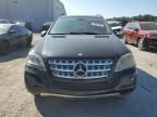 2009 Mercedes-Benz ML 350