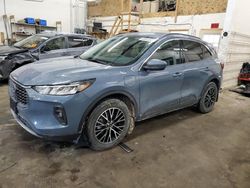 Salvage cars for sale at Ham Lake, MN auction: 2023 Ford Escape