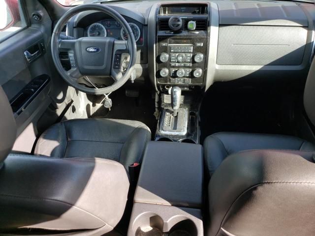 2008 Ford Escape Limited