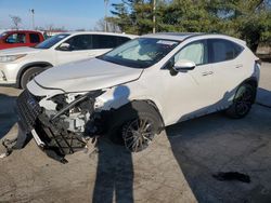 Salvage cars for sale at Lexington, KY auction: 2024 Lexus NX 350H Base