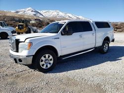 Salvage trucks for sale at Reno, NV auction: 2012 Ford F150 Supercrew