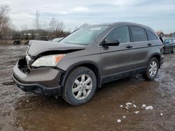 Honda Vehiculos salvage en venta: 2009 Honda CR-V EX