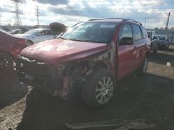 Salvage cars for sale at Elgin, IL auction: 2010 Toyota Rav4