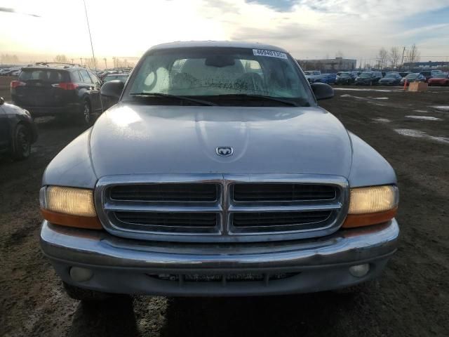 2003 Dodge Dakota Quad SLT