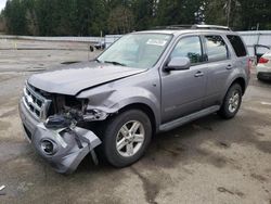 Ford Vehiculos salvage en venta: 2008 Ford Escape HEV