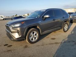 Salvage cars for sale at Bakersfield, CA auction: 2020 Toyota Rav4 LE