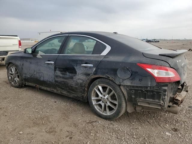 2010 Nissan Maxima S