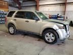 2011 Ford Escape XLS