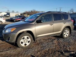 Salvage cars for sale at Hillsborough, NJ auction: 2011 Toyota Rav4